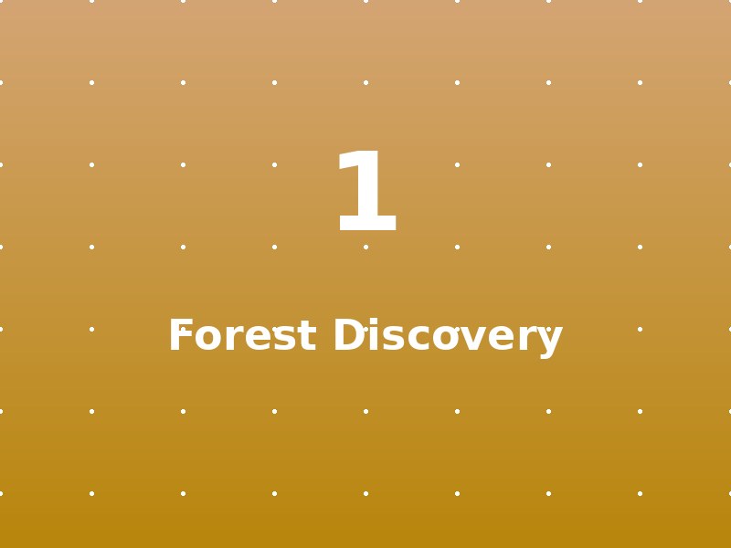 Forest Discovery